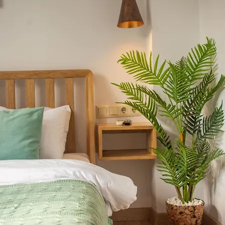 アパート Firuzaga Retreat In Beyoglu イスタンブール